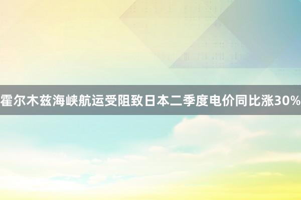 霍尔木兹海峡航运受阻致日本二季度电价同比涨30%