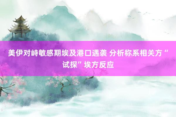 美伊对峙敏感期埃及港口遇袭 分析称系相关方“试探”埃方反应