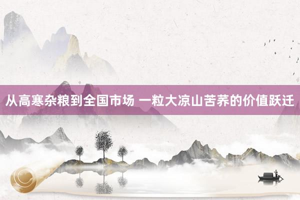 从高寒杂粮到全国市场 一粒大凉山苦荞的价值跃迁