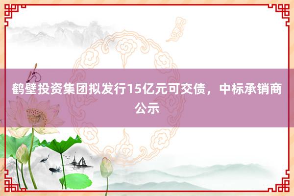 鹤壁投资集团拟发行15亿元可交债，中标承销商公示