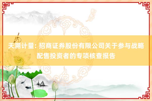 天溯计量: 招商证券股份有限公司关于参与战略配售投资者的专项核查报告