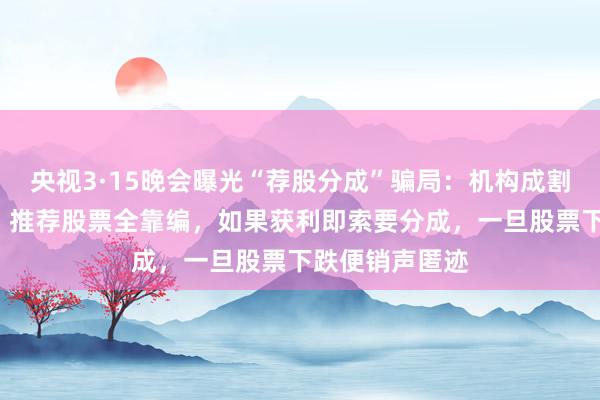 央视3·15晚会曝光“荐股分成”骗局：机构成割肉“骗子窝”，推荐股票全靠编，如果获利即索要分成，一旦股票下跌便销声匿迹