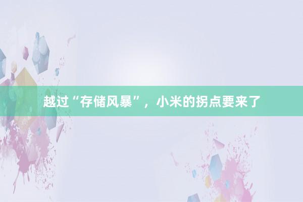 越过“存储风暴”，小米的拐点要来了