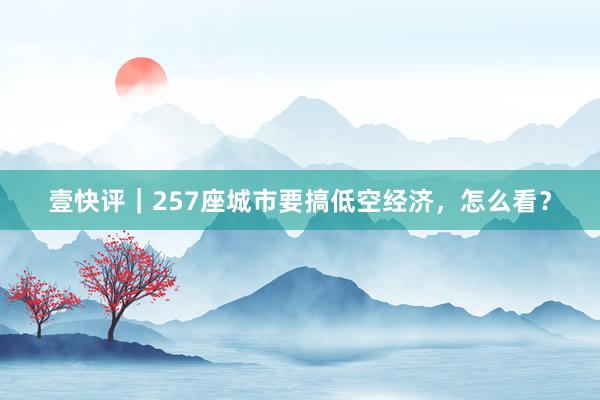 壹快评｜257座城市要搞低空经济，怎么看？
