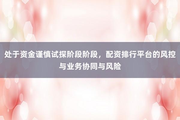 处于资金谨慎试探阶段阶段，配资排行平台的风控与业务协同与风险
