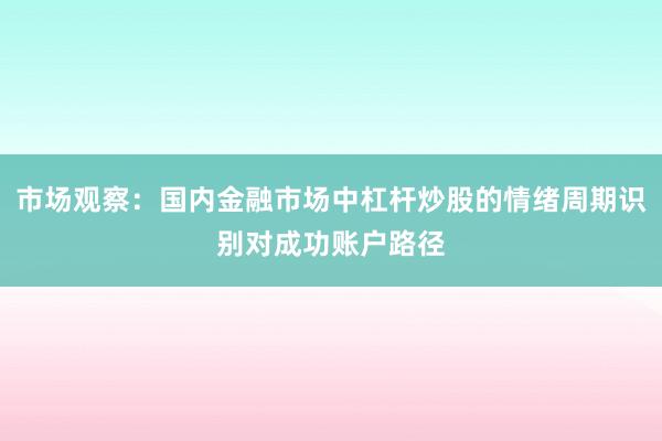 市场观察：国内金融市场中杠杆炒股的情绪周期识别对成功账户路径