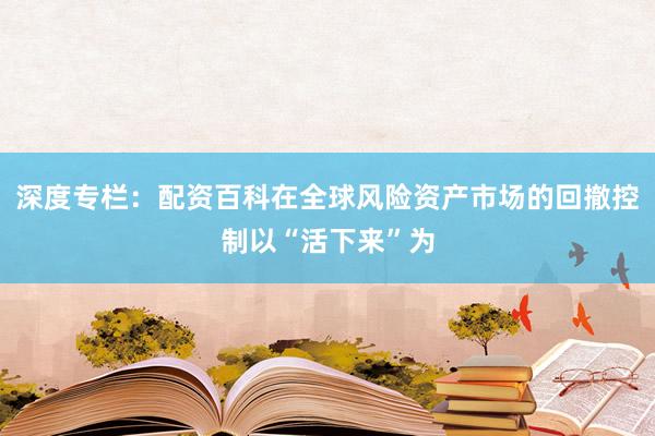 深度专栏：配资百科在全球风险资产市场的回撤控制以“活下来”为