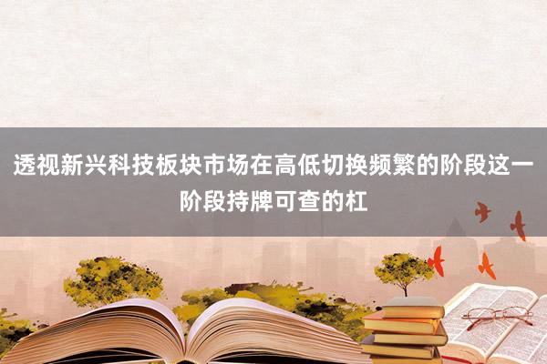 透视新兴科技板块市场在高低切换频繁的阶段这一阶段持牌可查的杠