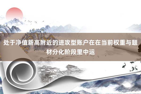 处于净值新高附近的进攻型账户在在当前权重与题材分化阶段里中运