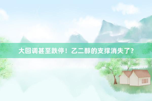 大回调甚至跌停！乙二醇的支撑消失了？