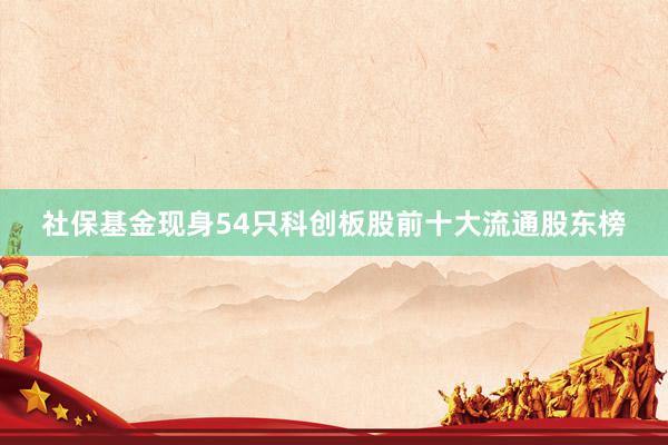 社保基金现身54只科创板股前十大流通股东榜