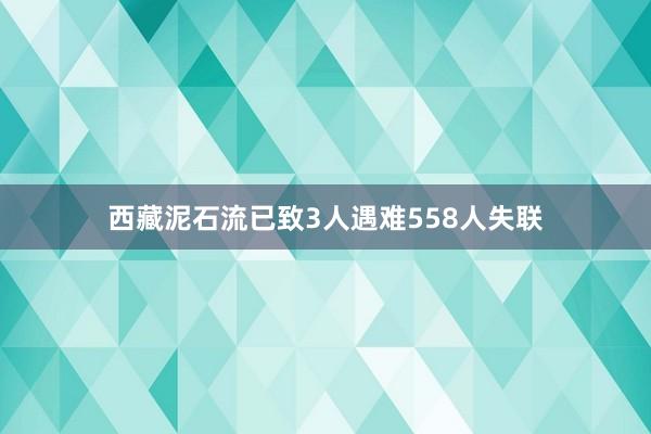西藏泥石流已致3人遇难558人失联