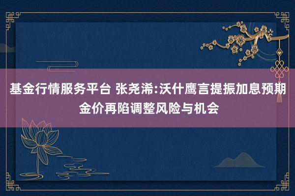 基金行情服务平台 张尧浠:沃什鹰言提振加息预期 金价再陷调整风险与机会