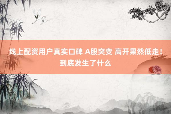 线上配资用户真实口碑 A股突变 高开果然低走！到底发生了什么