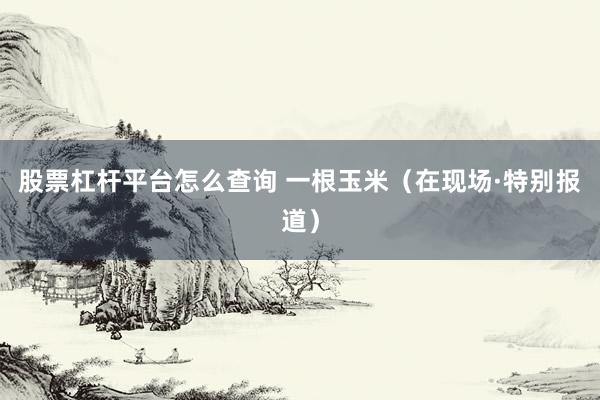 股票杠杆平台怎么查询 一根玉米（在现场·特别报道）