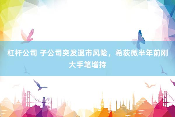 杠杆公司 子公司突发退市风险，希荻微半年前刚大手笔增持