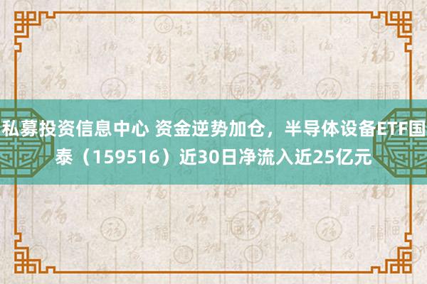 私募投资信息中心 资金逆势加仓，半导体设备ETF国泰（159516）近30日净流入近25亿元