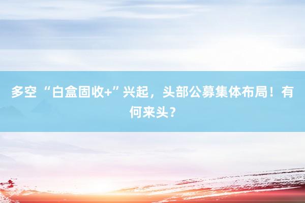 多空 “白盒固收+”兴起，头部公募集体布局！有何来头？