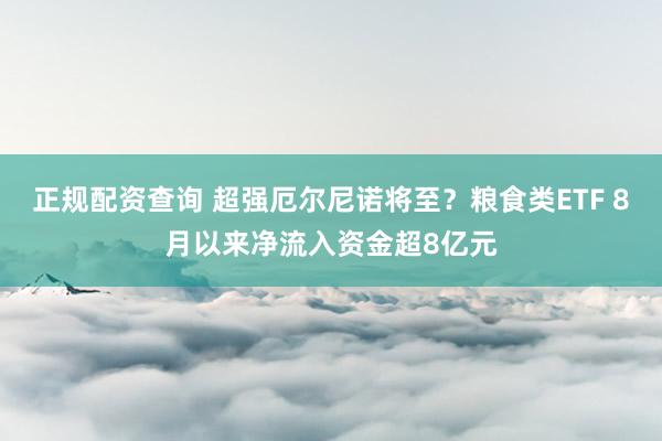 正规配资查询 超强厄尔尼诺将至？粮食类ETF 8月以来净流入资金超8亿元