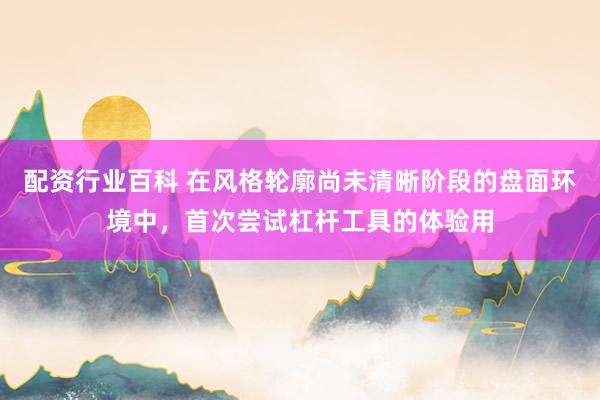 配资行业百科 在风格轮廓尚未清晰阶段的盘面环境中，首次尝试杠杆工具的体验用