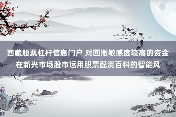 西藏股票杠杆信息门户 对回撤敏感度较高的资金在新兴市场股市运用股票配资百科的智能风