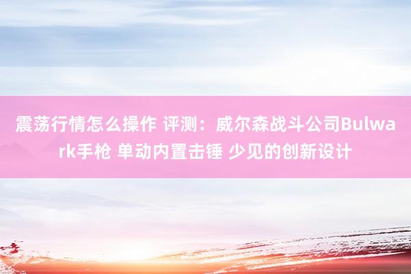 震荡行情怎么操作 评测：威尔森战斗公司Bulwark手枪 单动内置击锤 少见的创新设计