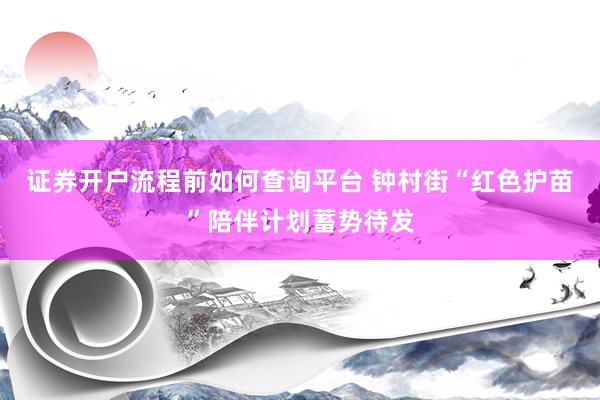 证券开户流程前如何查询平台 钟村街“红色护苗”陪伴计划蓄势待发