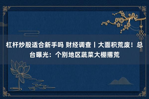 杠杆炒股适合新手吗 财经调查丨大面积荒废！总台曝光：个别地区蔬菜大棚撂荒