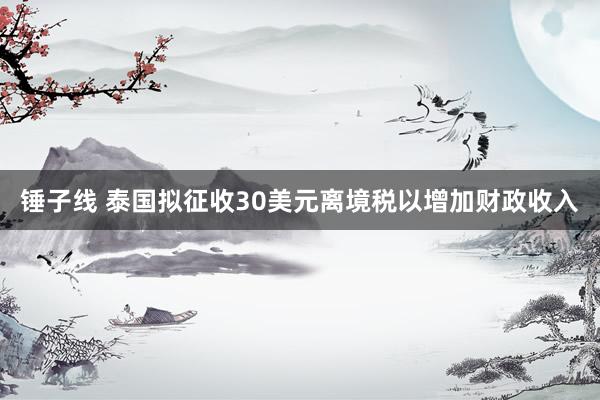 锤子线 泰国拟征收30美元离境税以增加财政收入