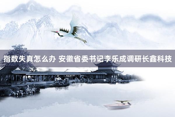 指数失真怎么办 安徽省委书记李乐成调研长鑫科技