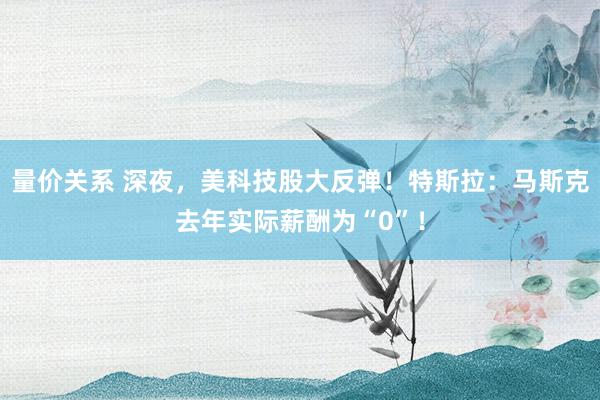 量价关系 深夜，美科技股大反弹！特斯拉：马斯克去年实际薪酬为“0”！