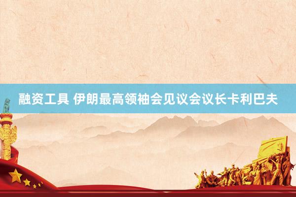 融资工具 伊朗最高领袖会见议会议长卡利巴夫