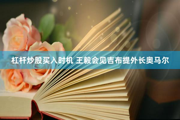 杠杆炒股买入时机 王毅会见吉布提外长奥马尔
