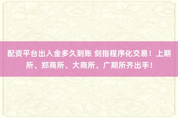 配资平台出入金多久到账 剑指程序化交易!上期所、郑商所、大商所、广期所齐出手!